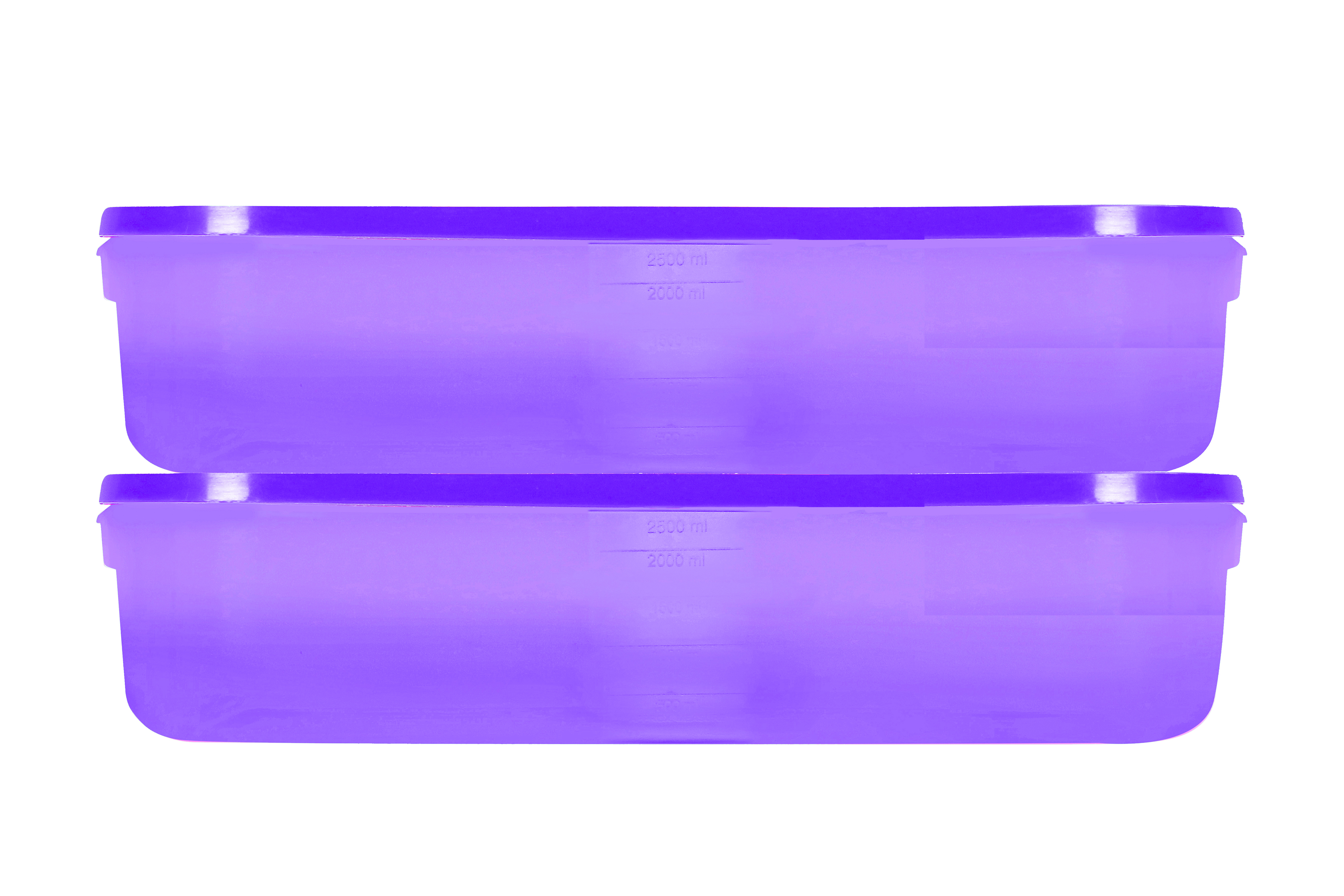 Polka Container 503 (2500 ml) (Assorted) (24 Pc Pk)